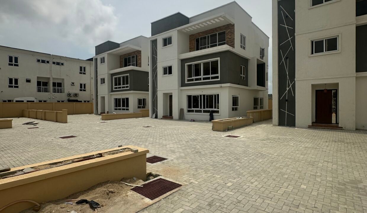 2025_03_19_11_45_IMG_3167